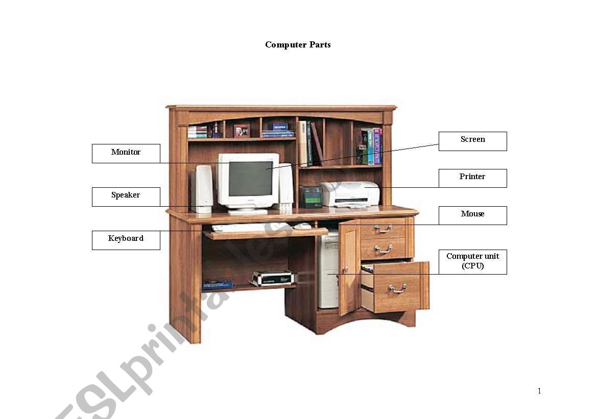 computer worksheet