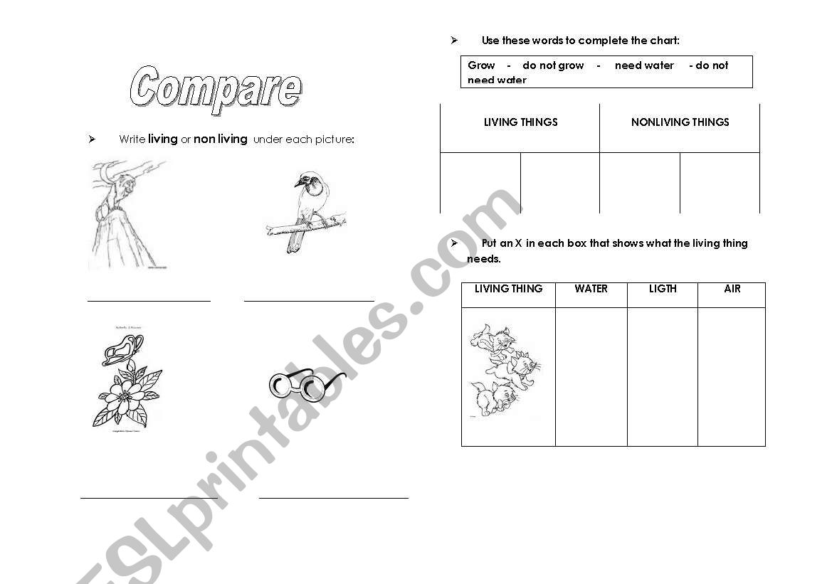 Compare  worksheet