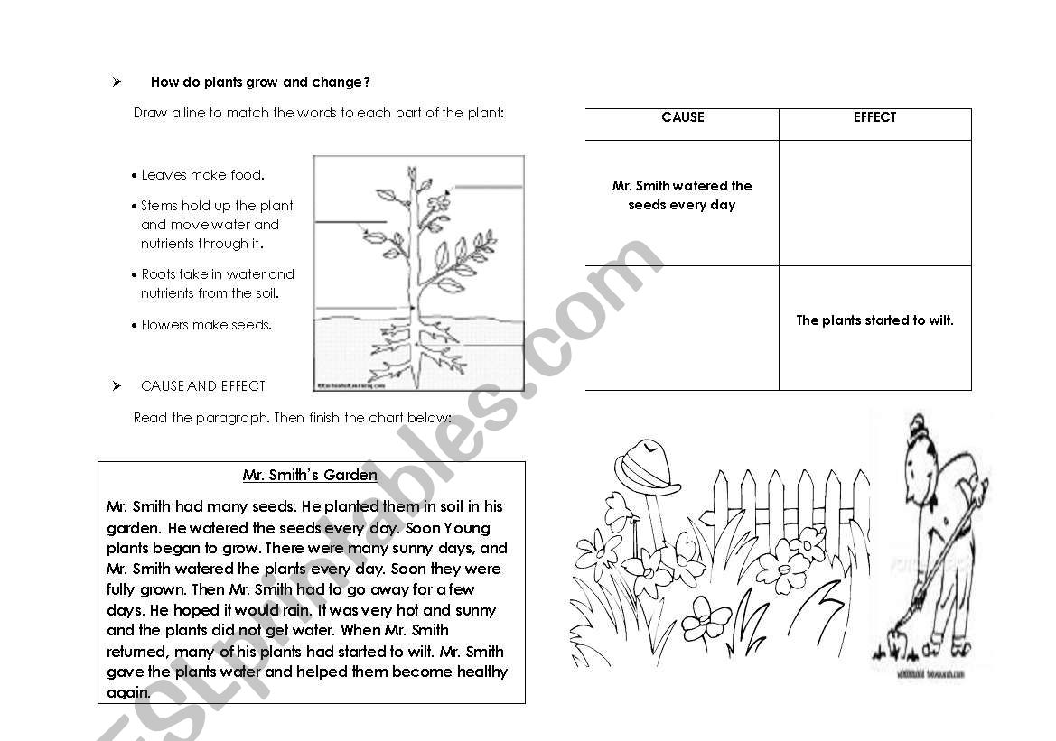  Reading comprehension  worksheet