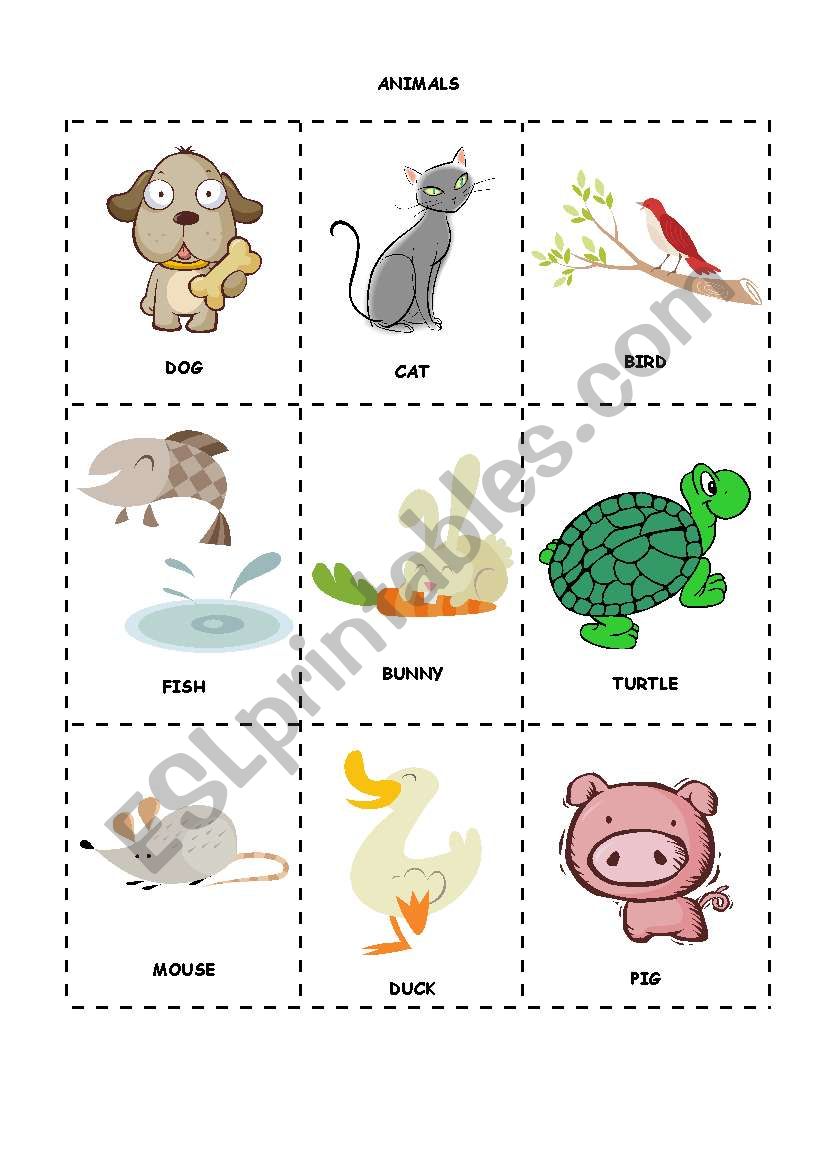 Animals flashcards and matching worksheet