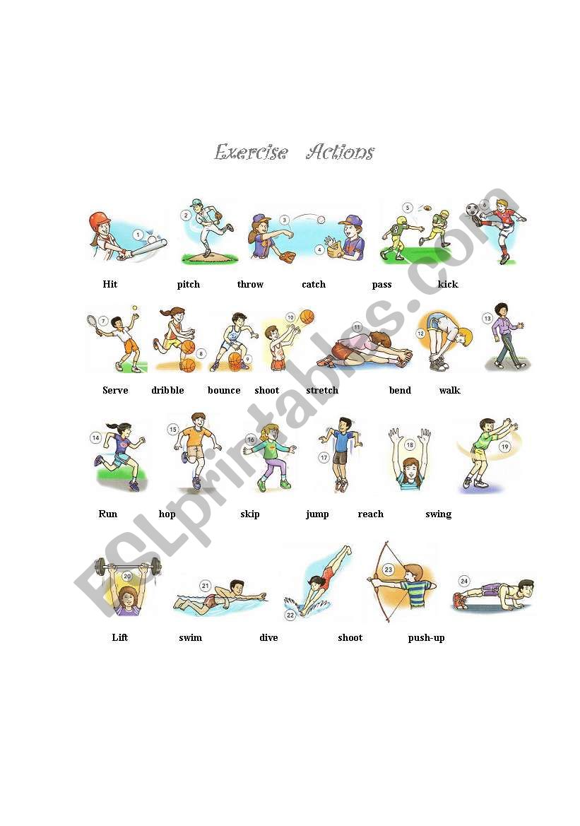 Exercise  Actions worksheet