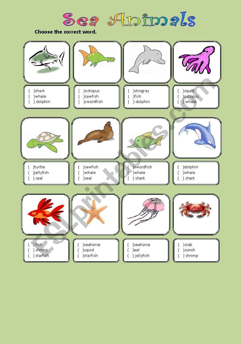 Sea Animals worksheet