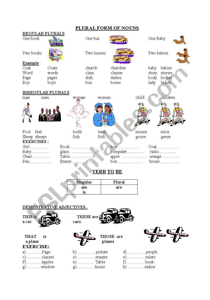 plurals worksheet