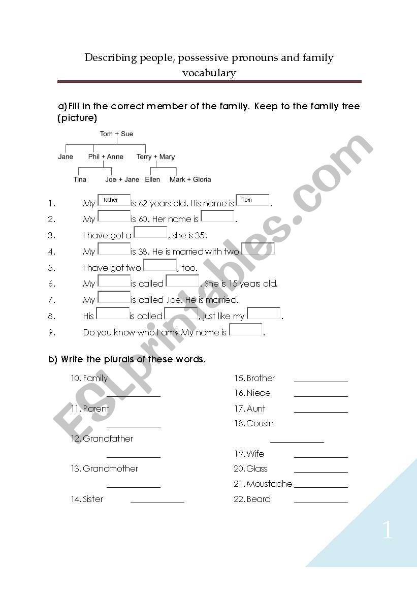 describing people, possesive pronouns and family vocabulary