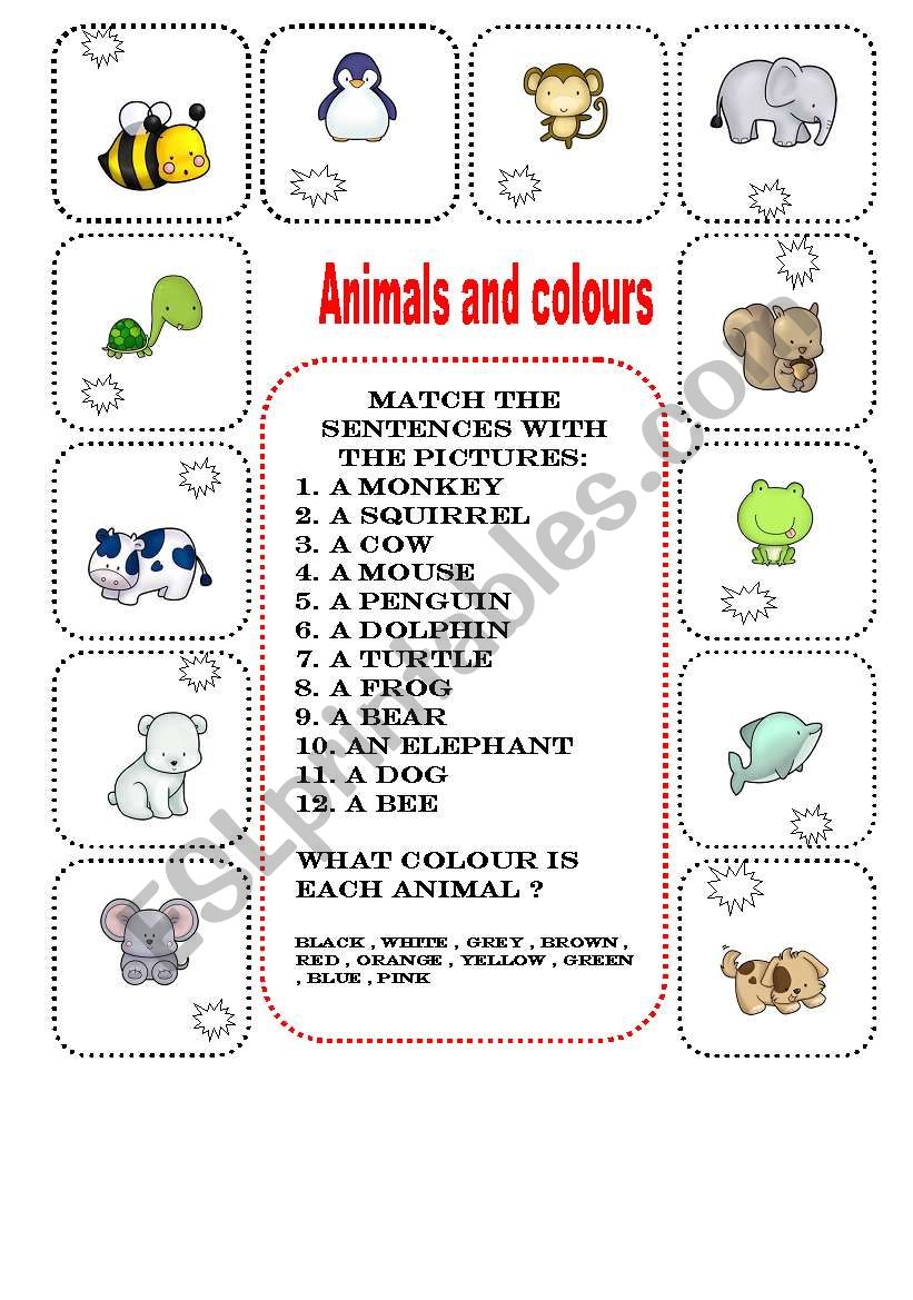 animals and colours worksheet