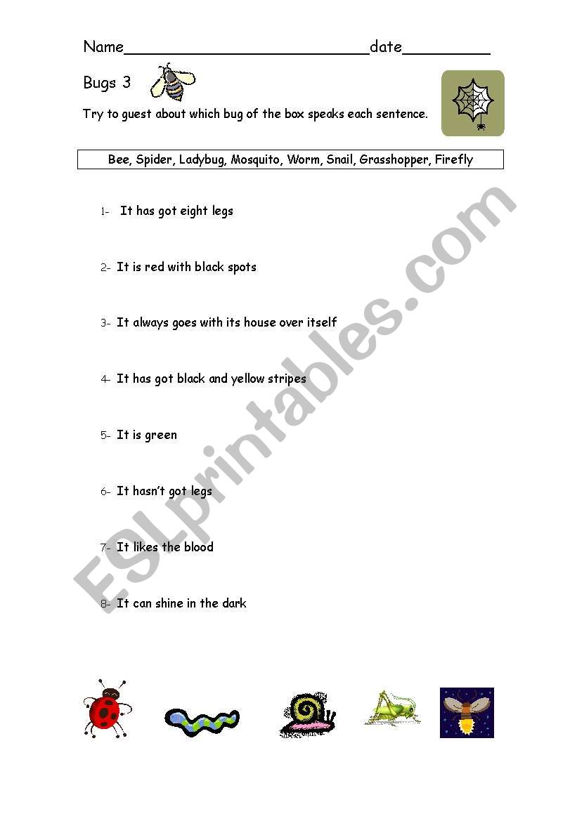 Bugs 3 worksheet