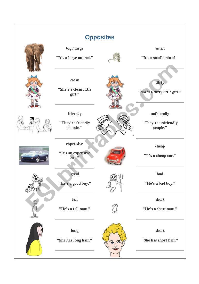 opposites worksheet