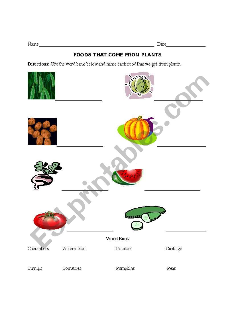 Foods We Get From Plants worksheet