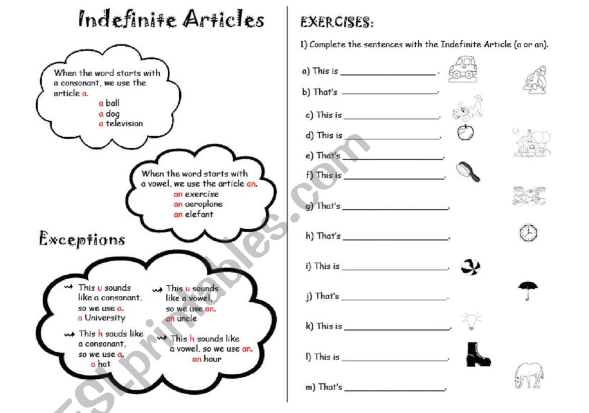 The Indefinite Article ( a/an)  