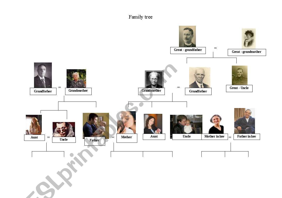 family tree worksheet