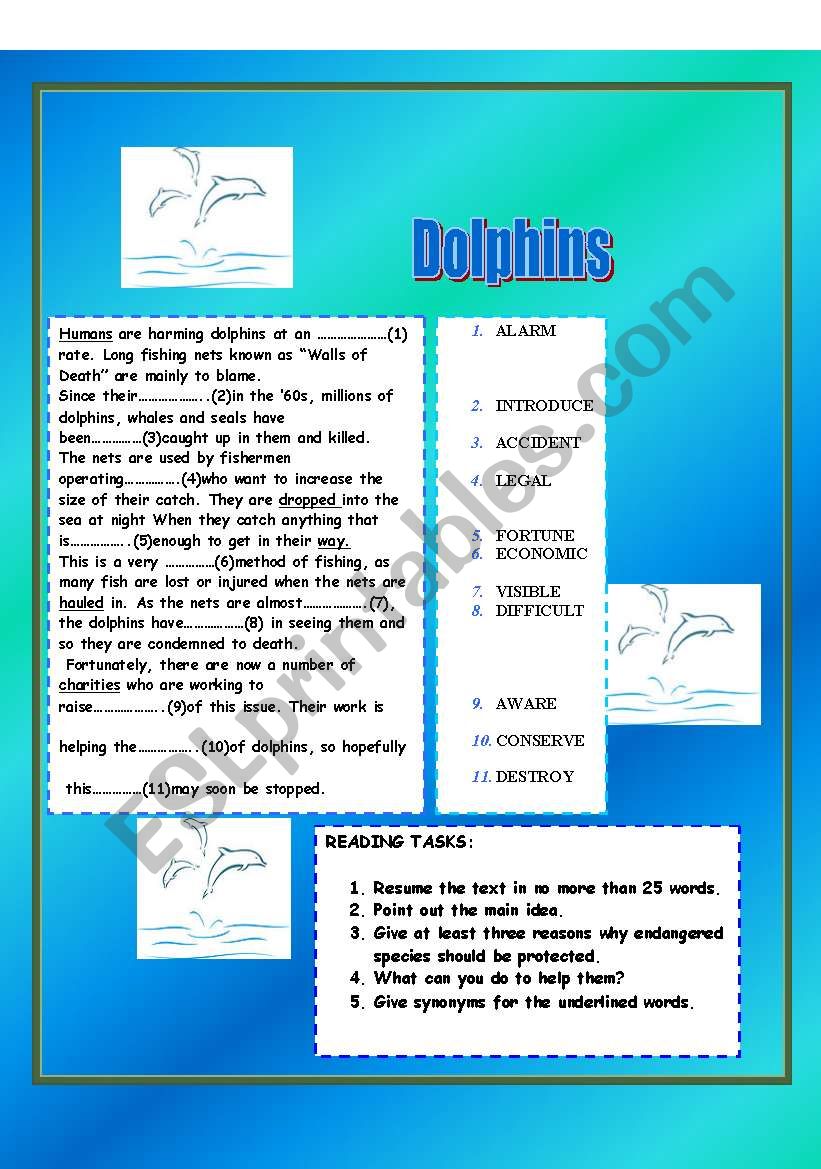 DOLPHINS worksheet