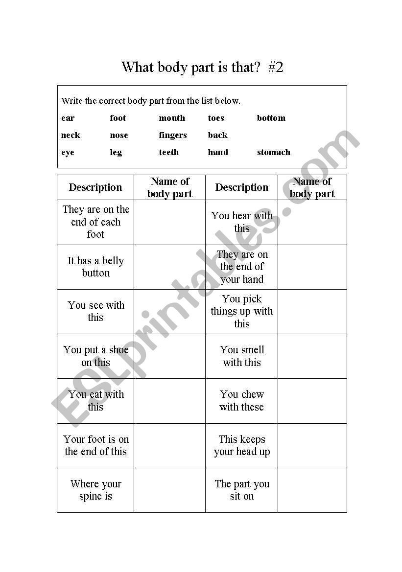 What body part is that ? #2 worksheet