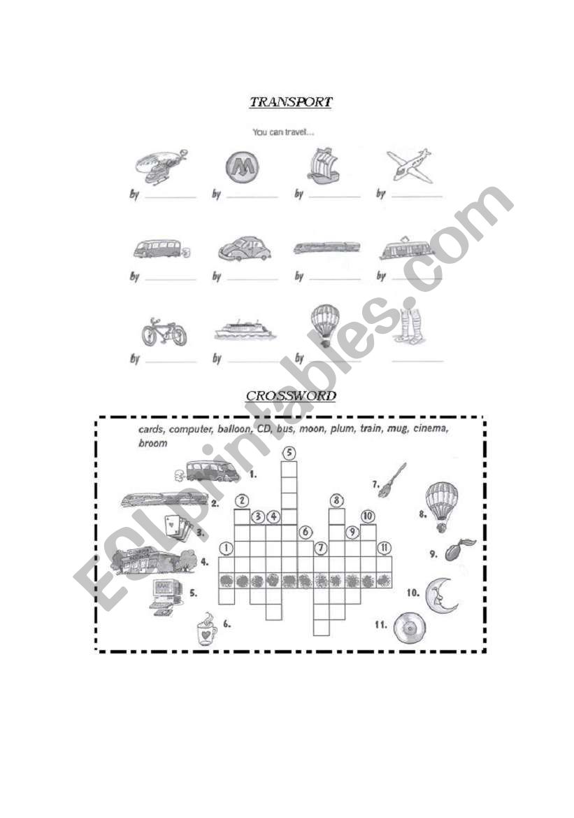 Transport worksheet