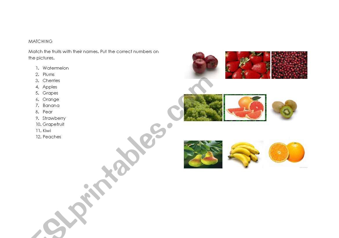 matching fruits worksheet