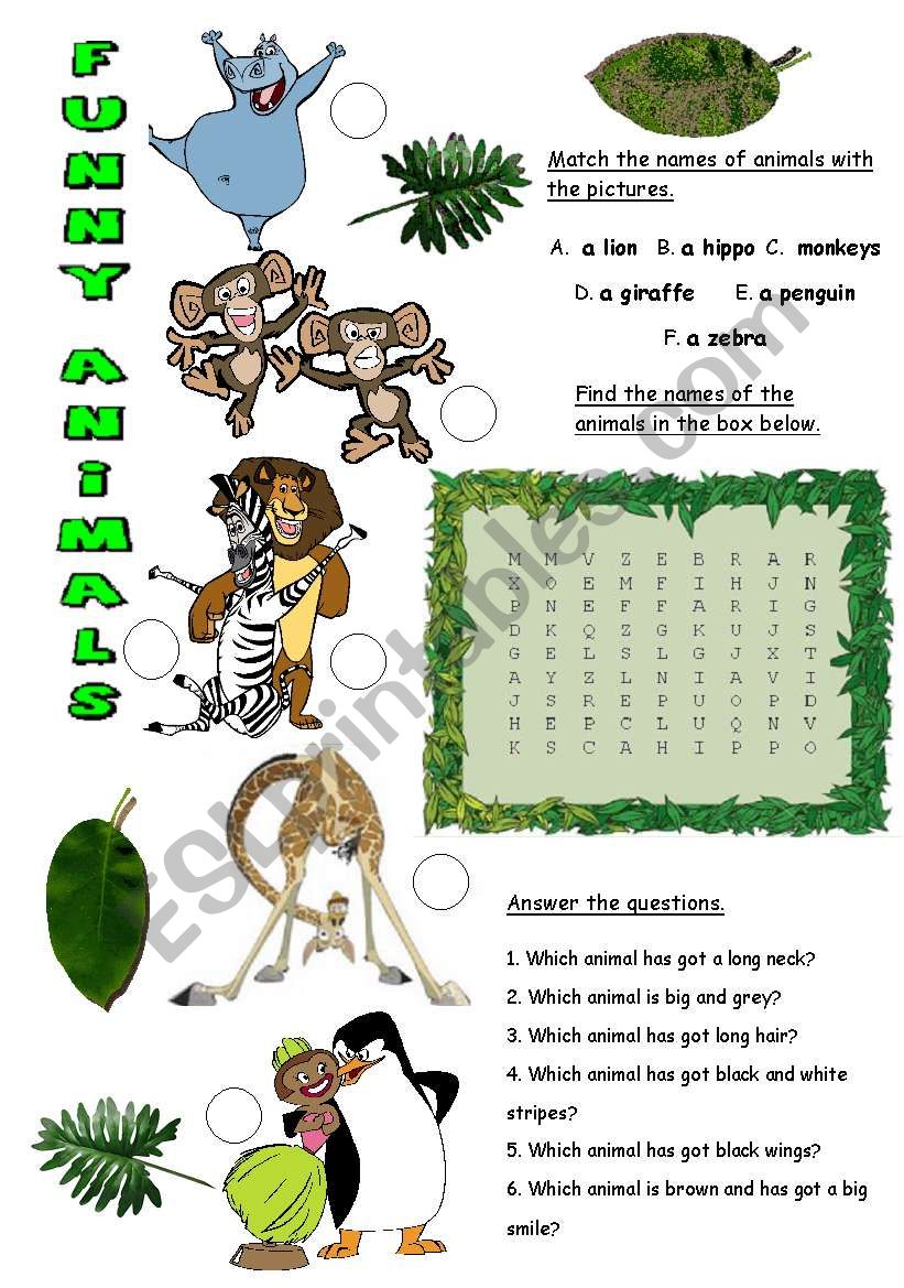 Funny Animals worksheet