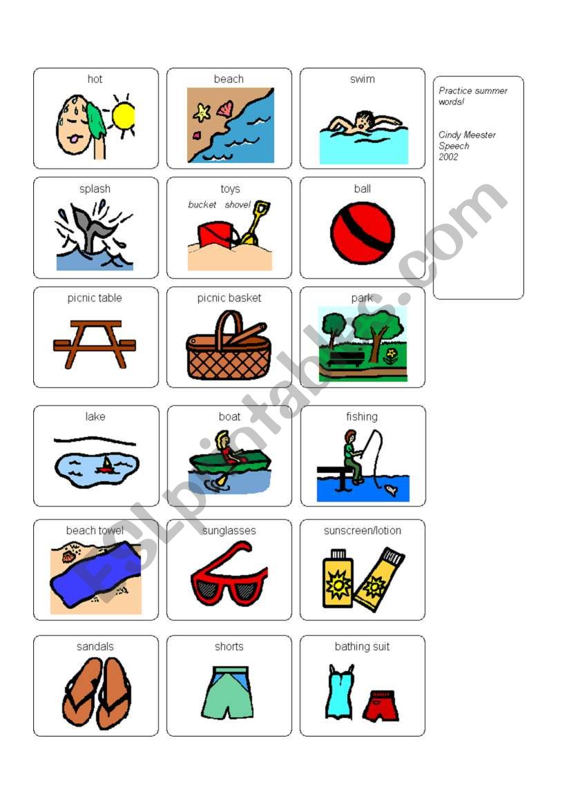 Summer Vocabulary worksheet