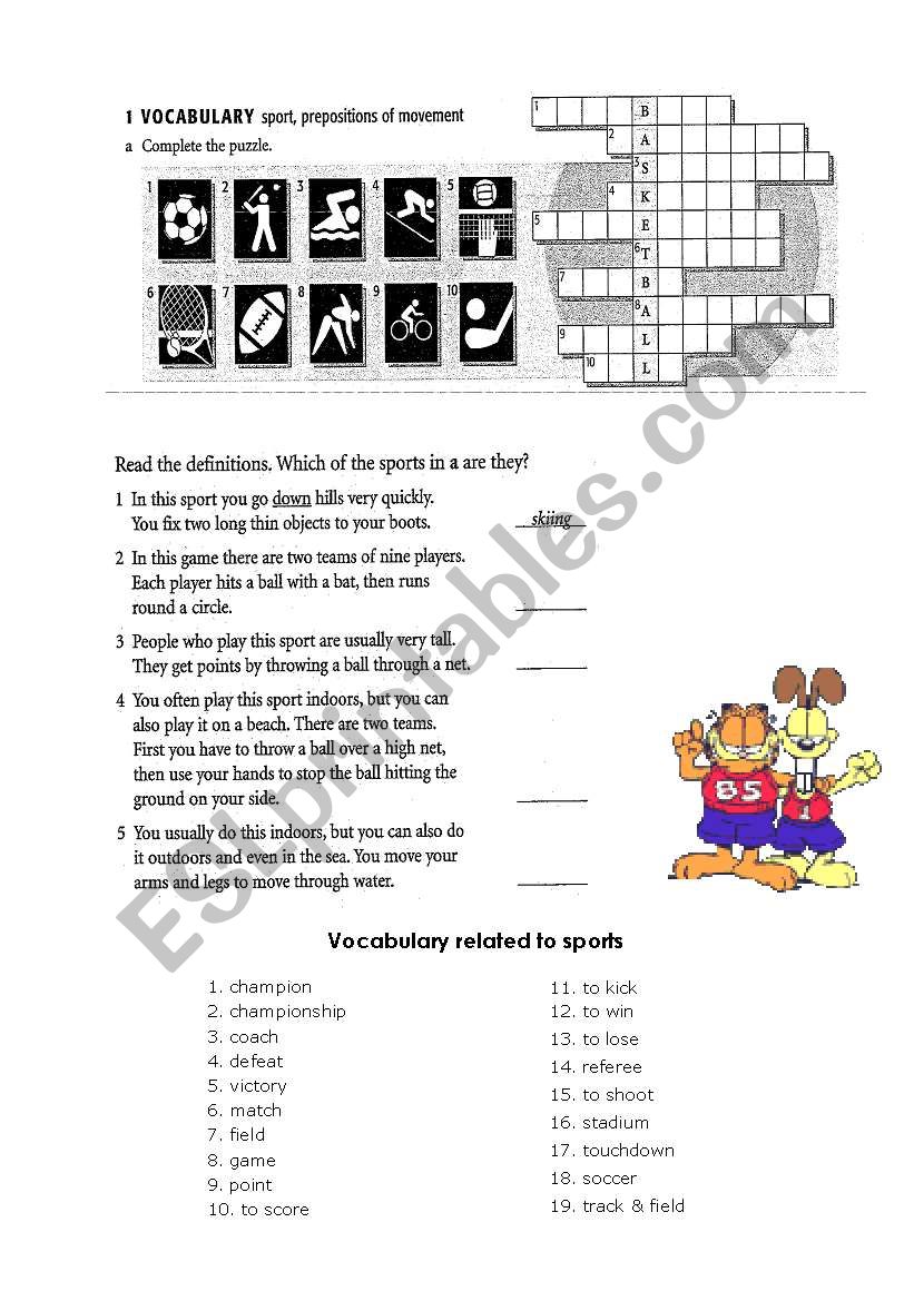 Sports worksheet