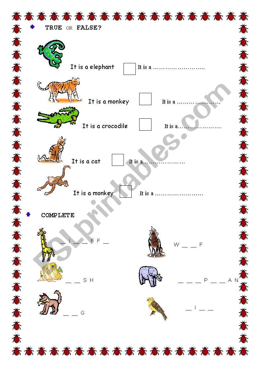 Animals worksheet