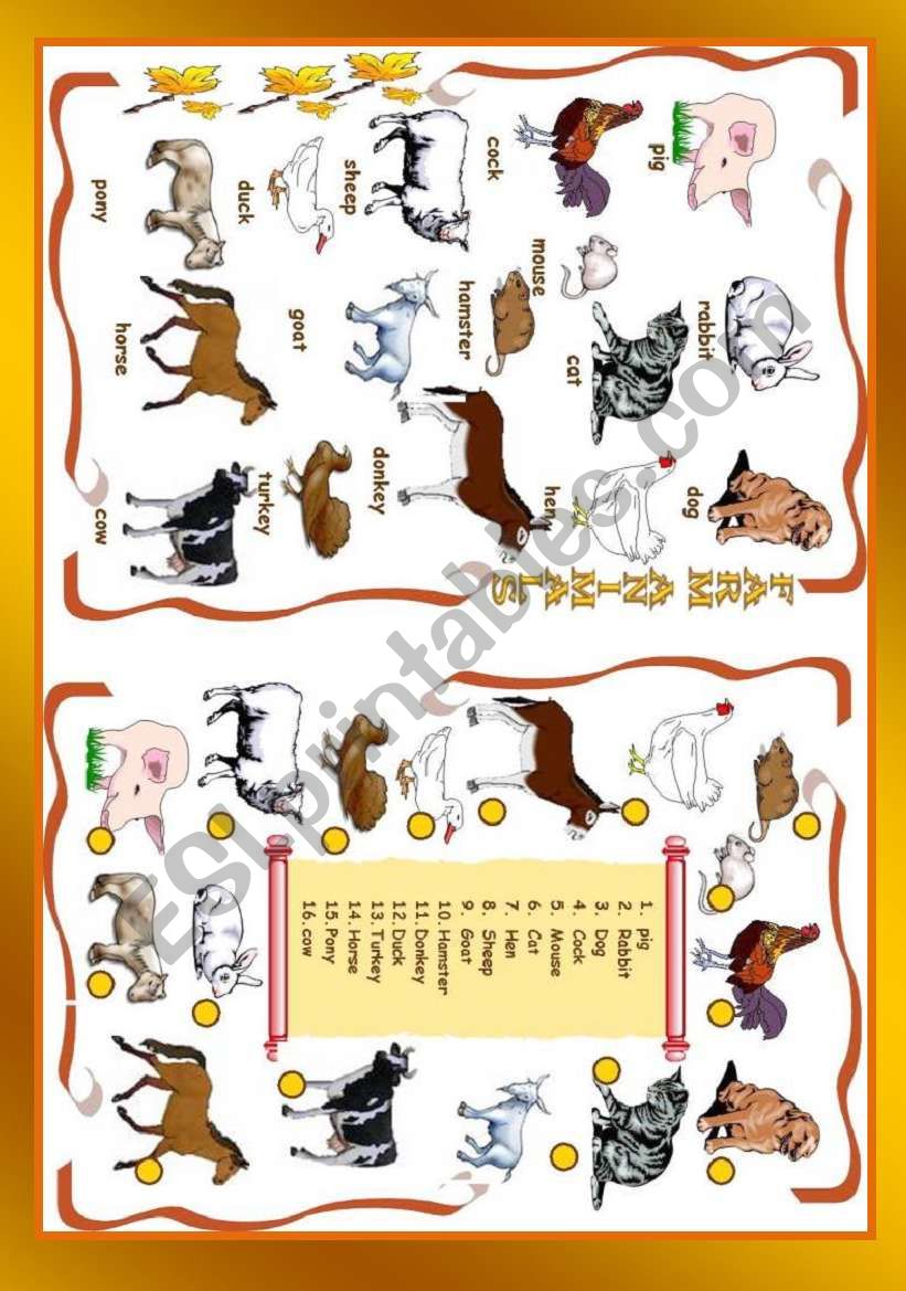 Farm Animals worksheet