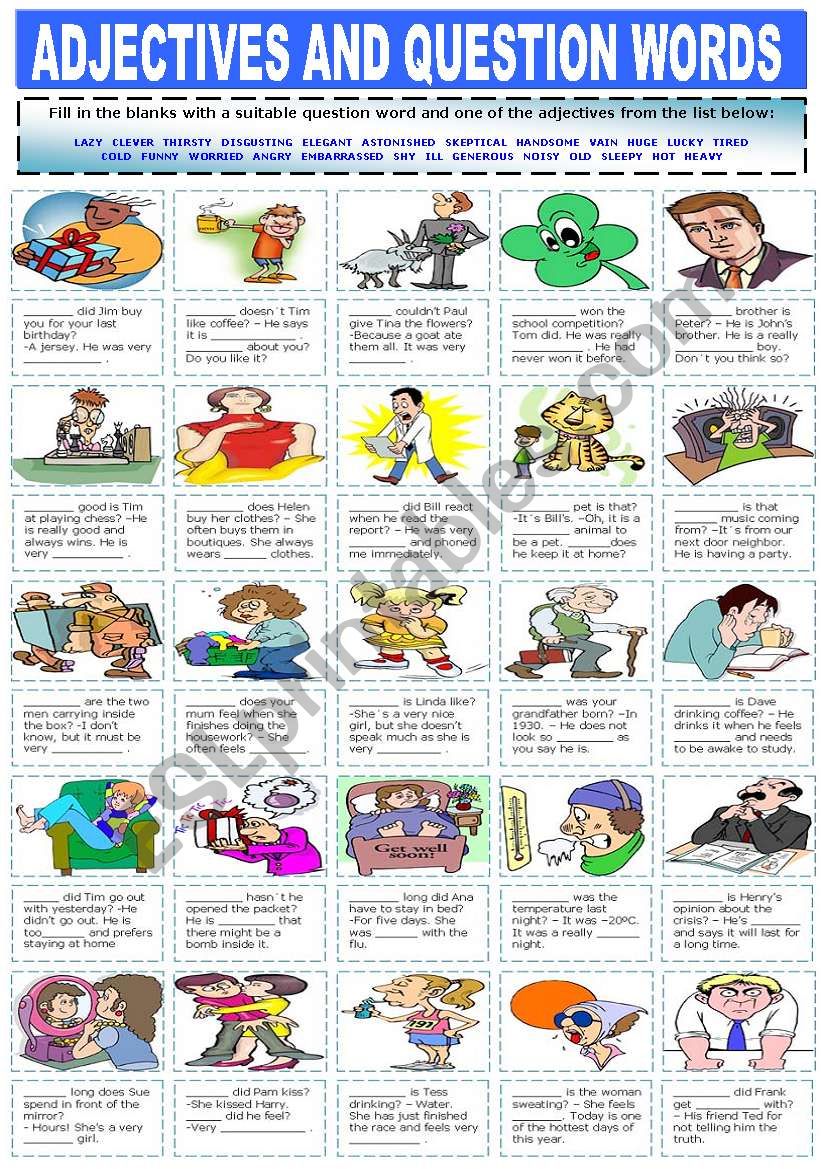 ADJECTIVES AND QUESTION WORDS worksheet