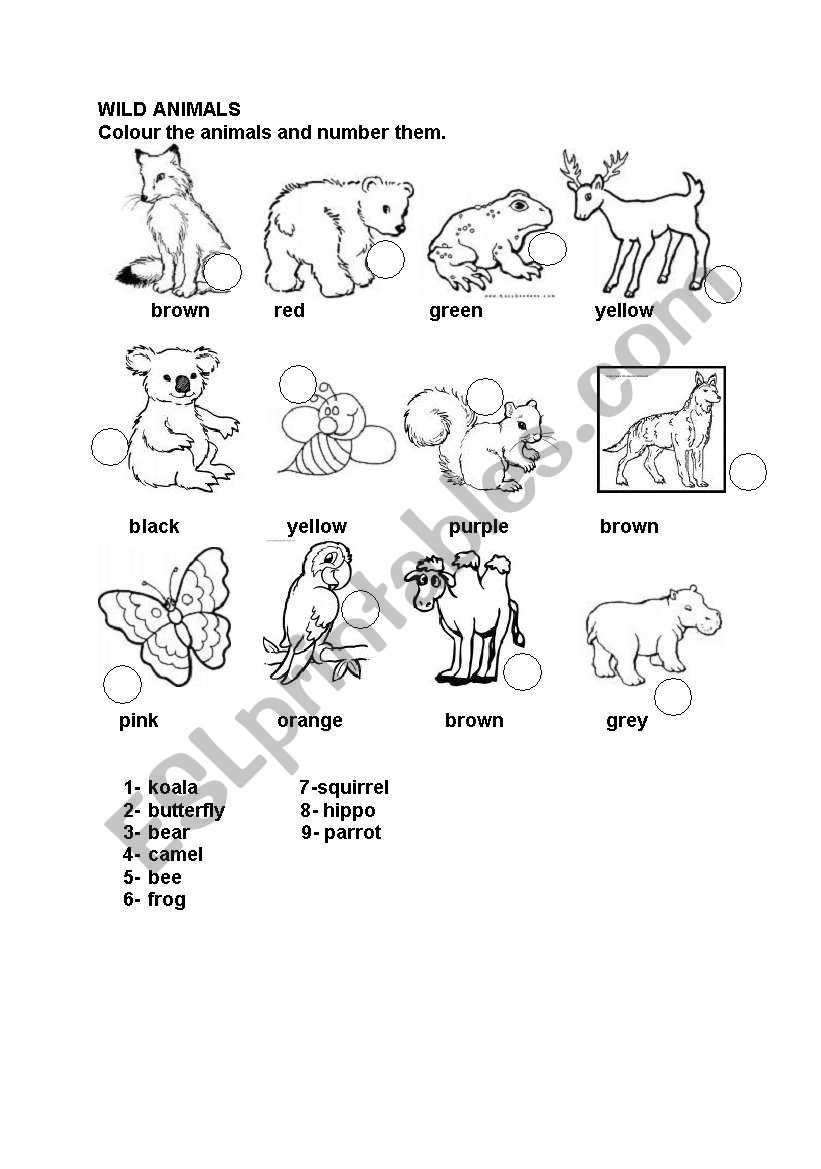 wild animals worksheet