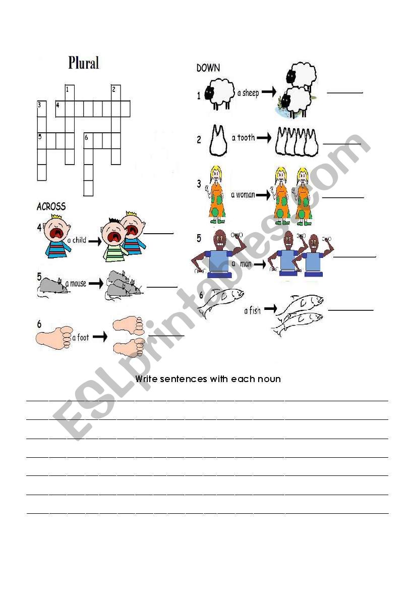 Irregular Nouns worksheet