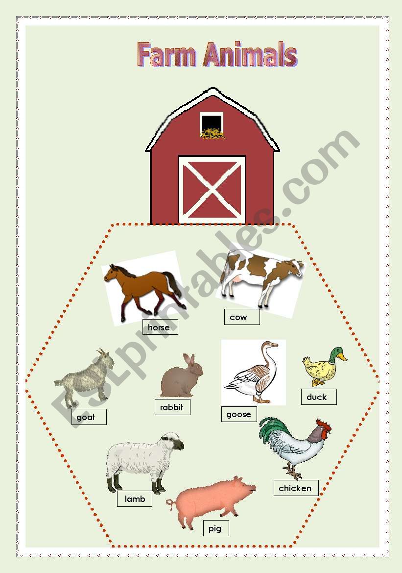 Farm Animals worksheet