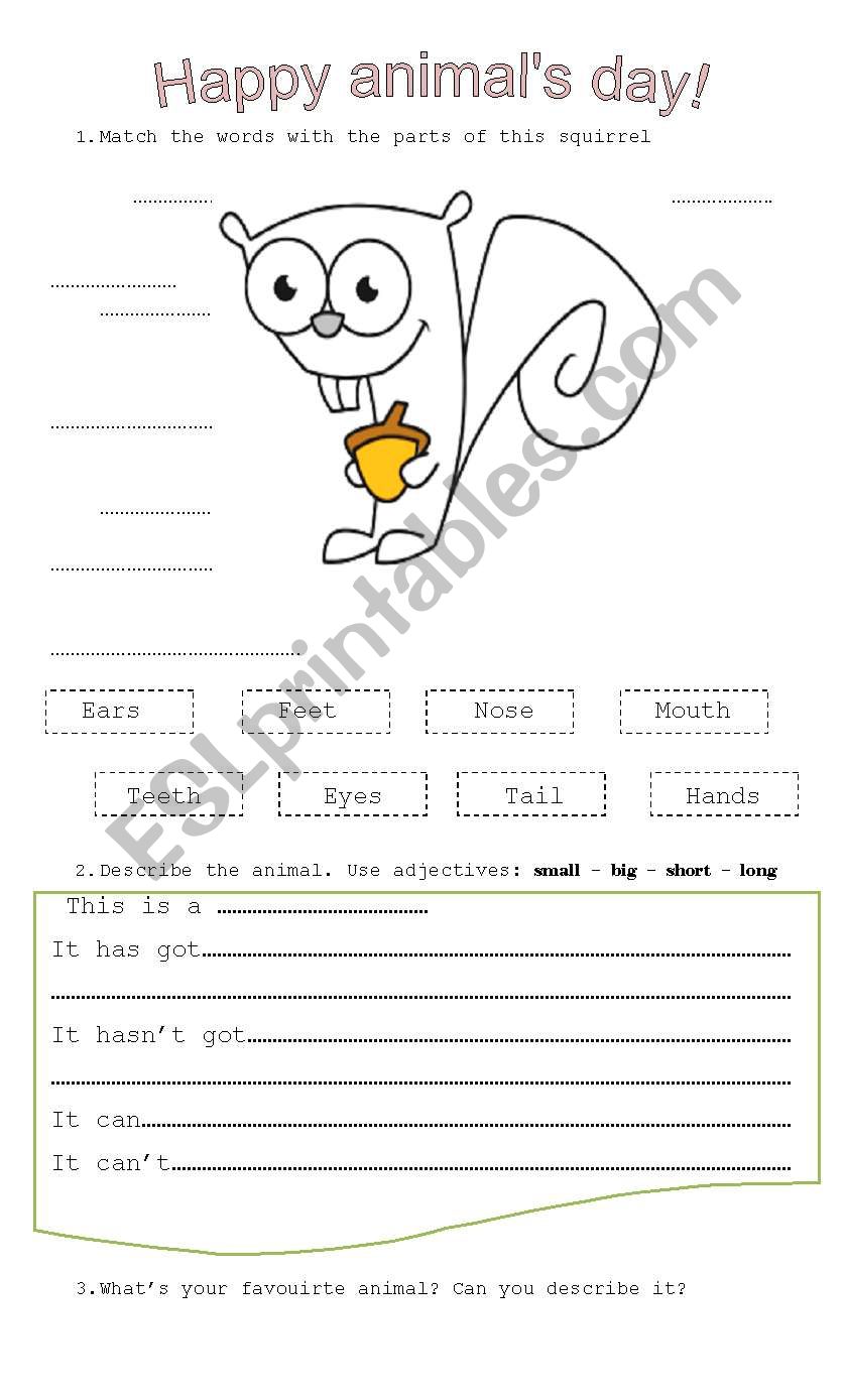 happy animals day worksheet