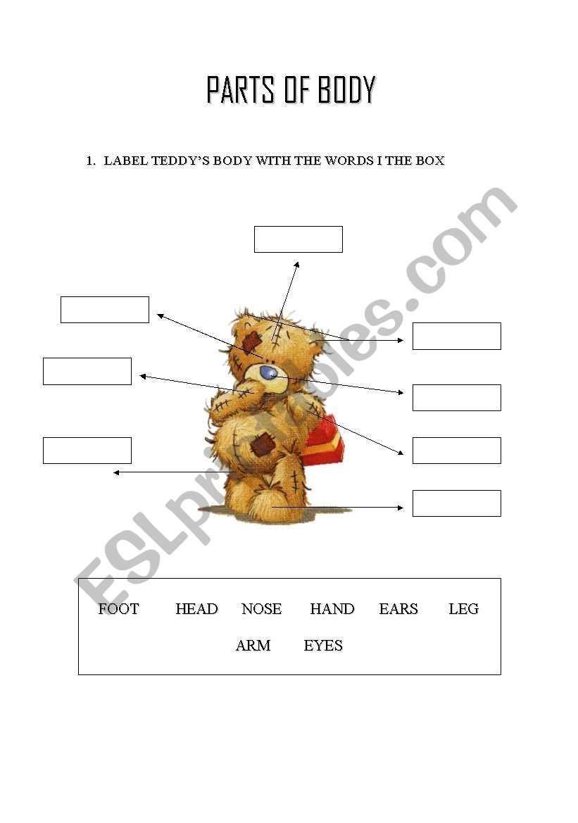 PARTS OF BODY worksheet