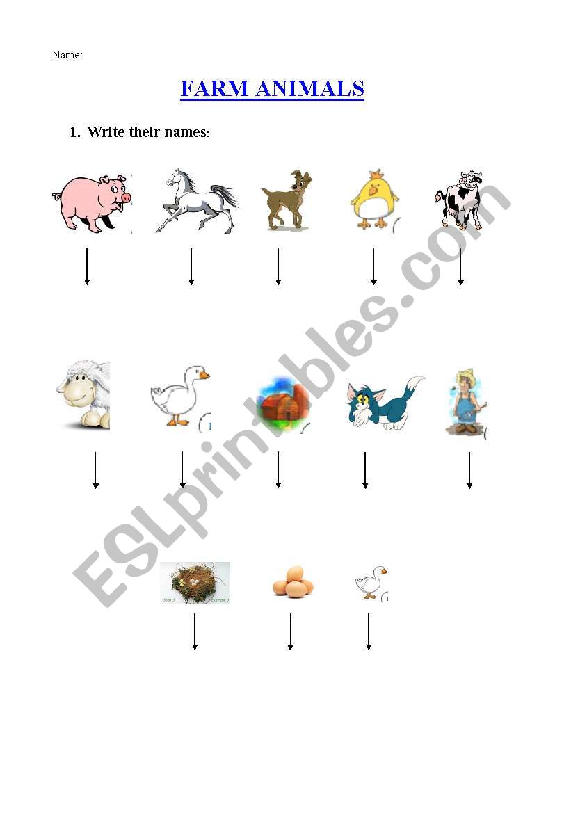 Farm animals worksheet