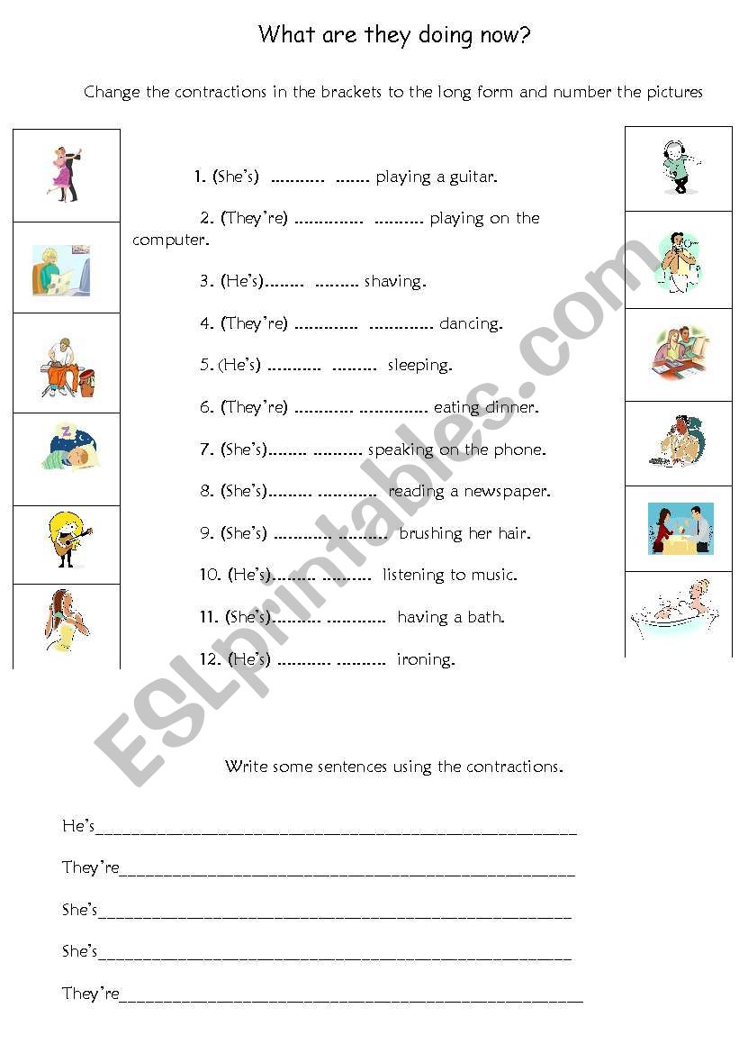 contractions - present simple worksheet