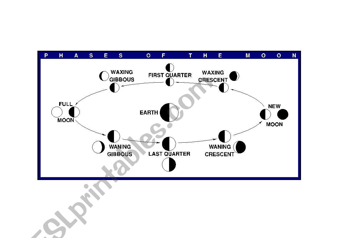 phases  of the moon worksheet