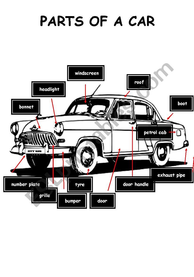 PARTS OF A CAR worksheet