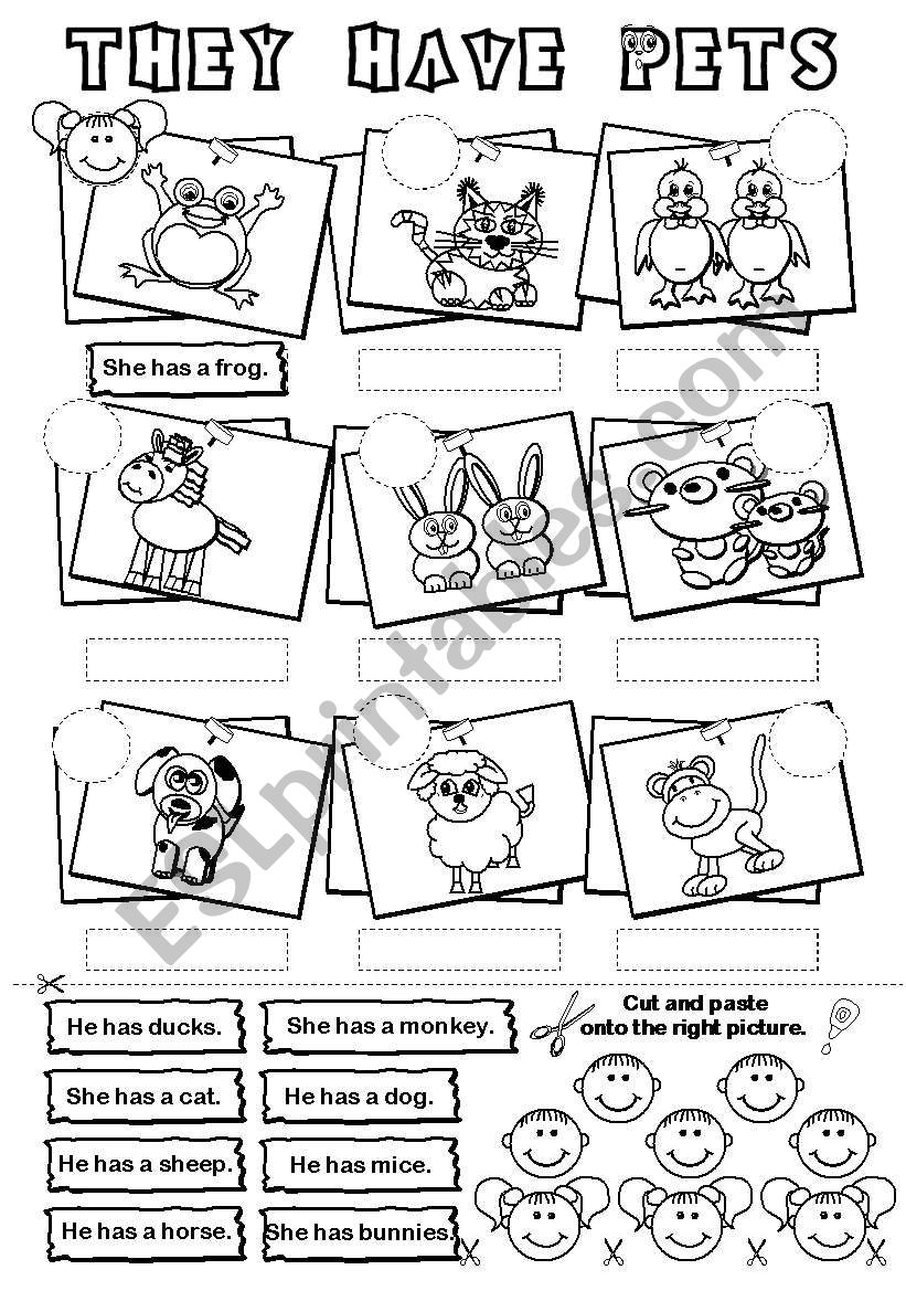 They have pets worksheet
