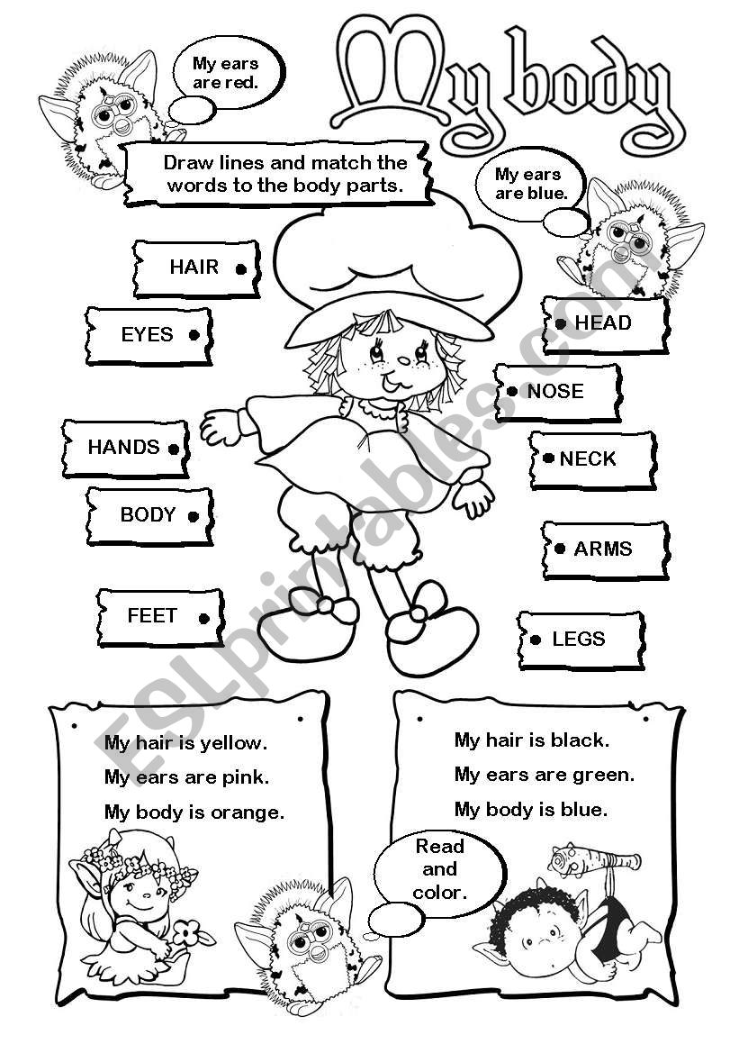 My body worksheet