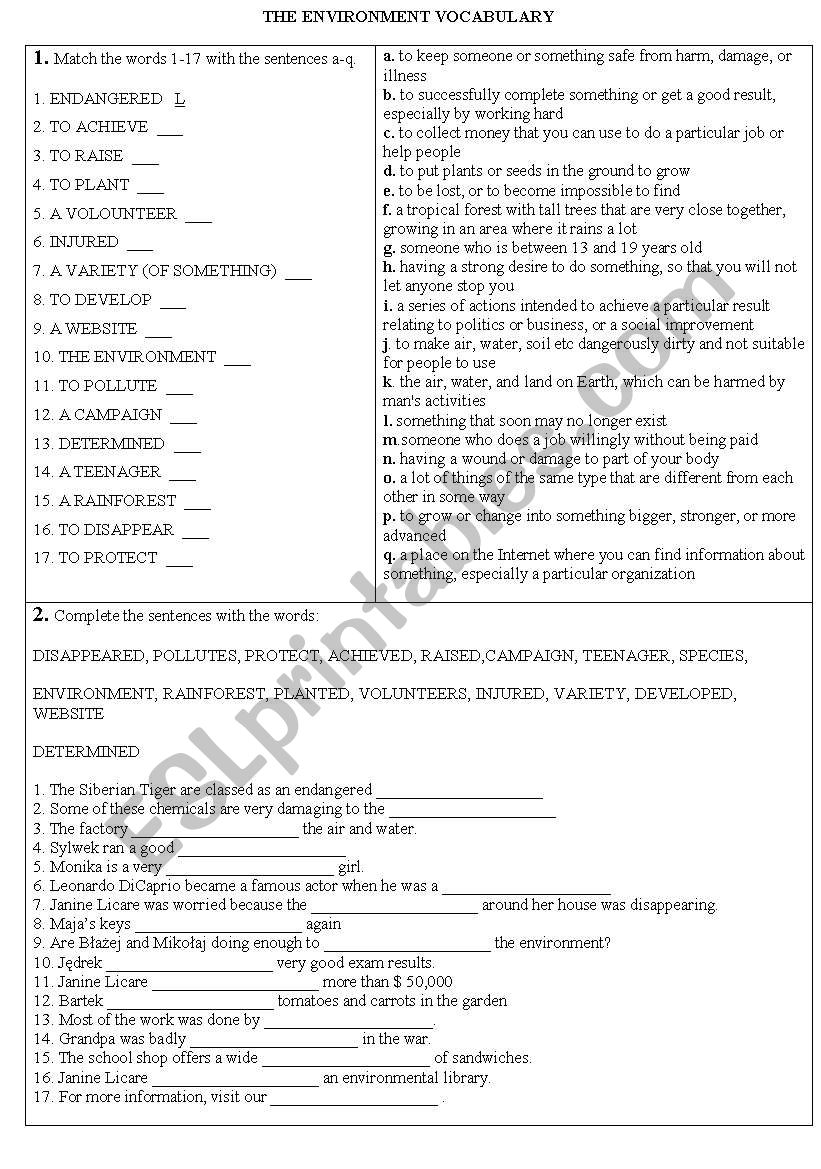 THE ENVIRONMENT - VOCABULARY EXERCISES