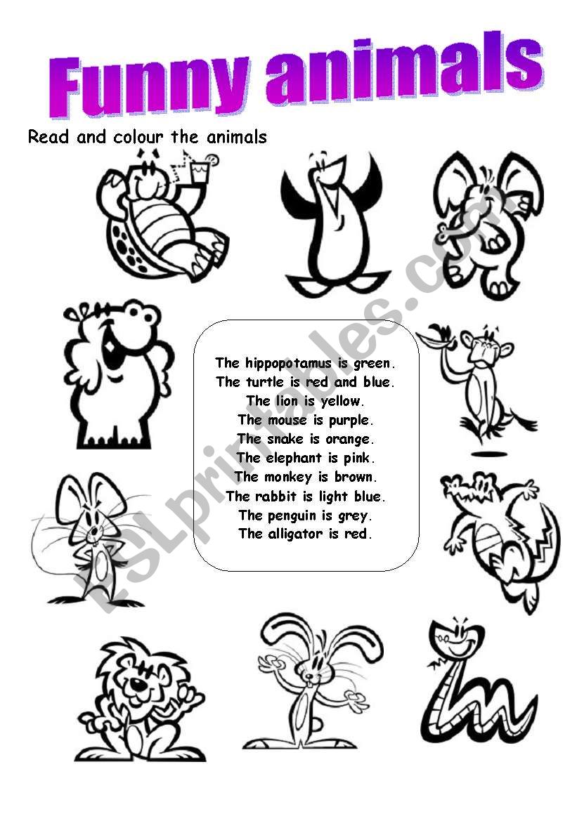 Funny animals worksheet