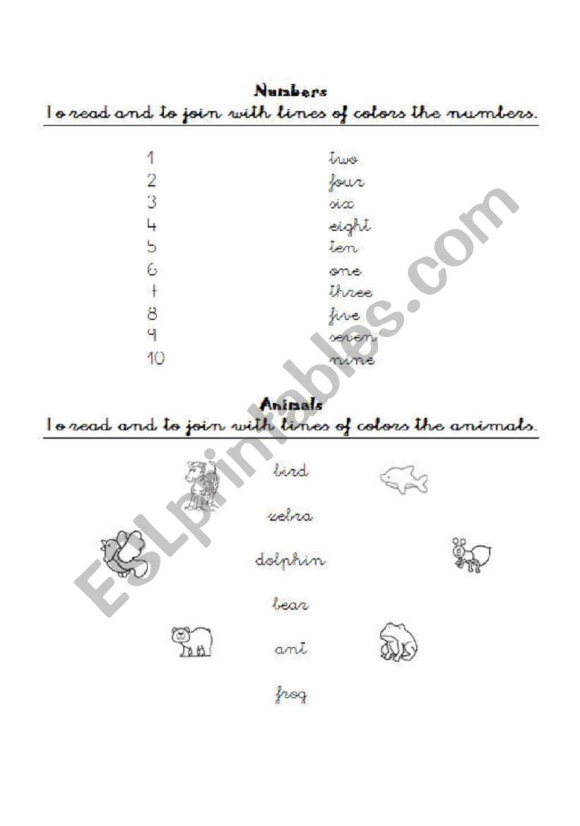 Numbers and Animals worksheet