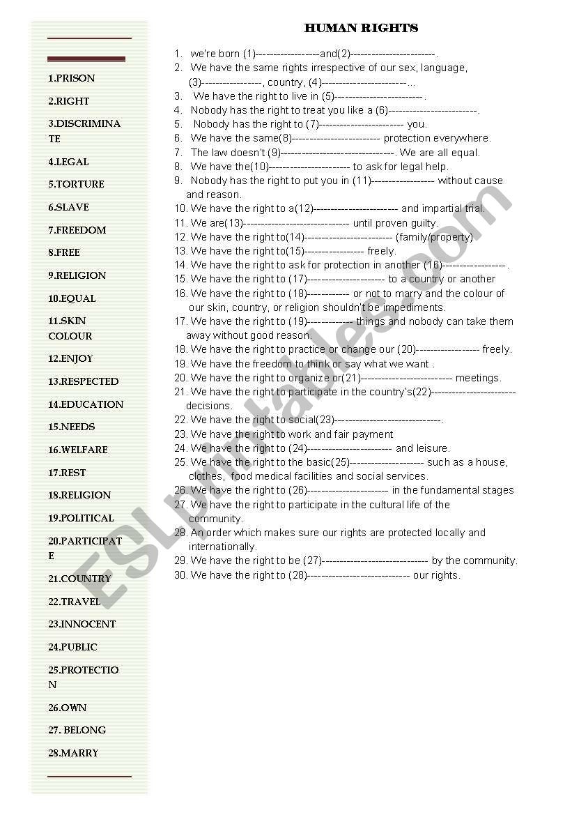 human rights worksheet