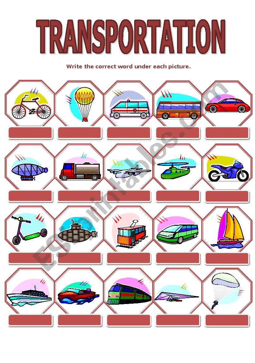 TRANSPORTATION worksheet