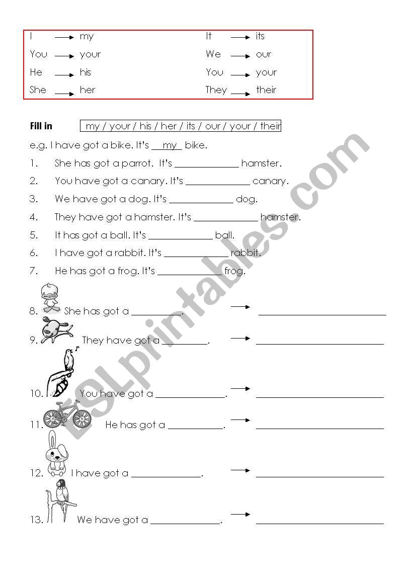 Possessive pronouns worksheet