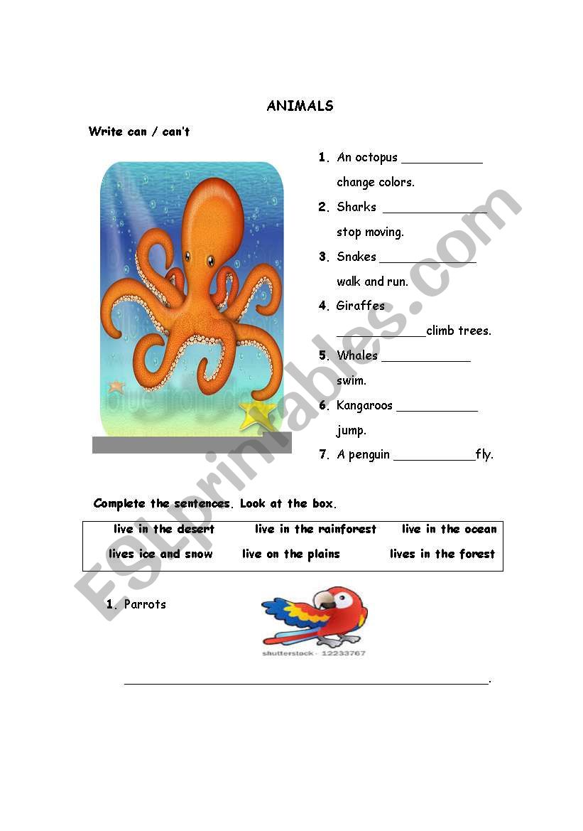 ANIMALS worksheet