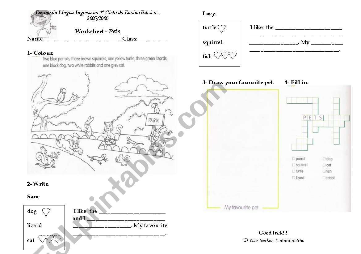 workshhet on animals worksheet