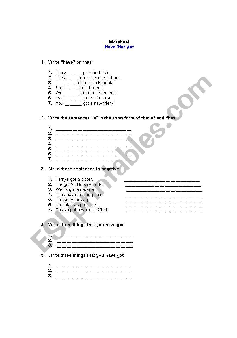 have got and has got worksheet