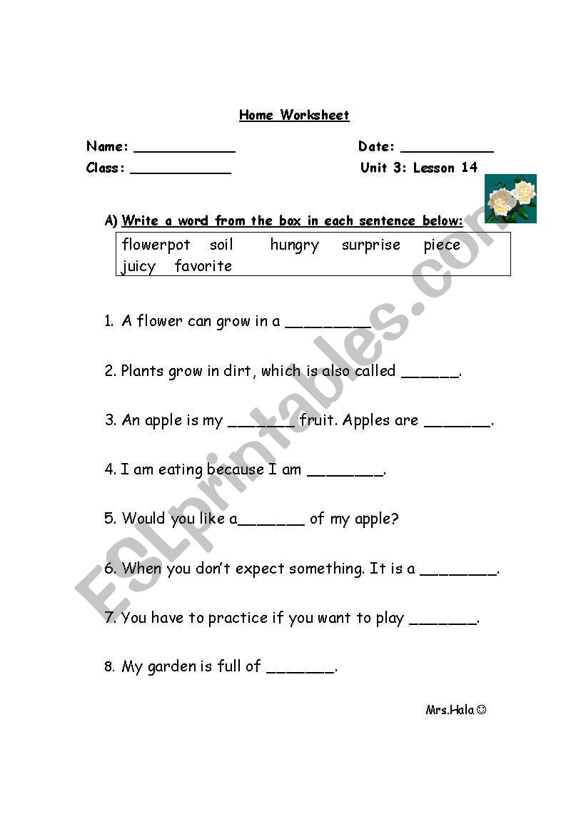 vocab. worksheet worksheet