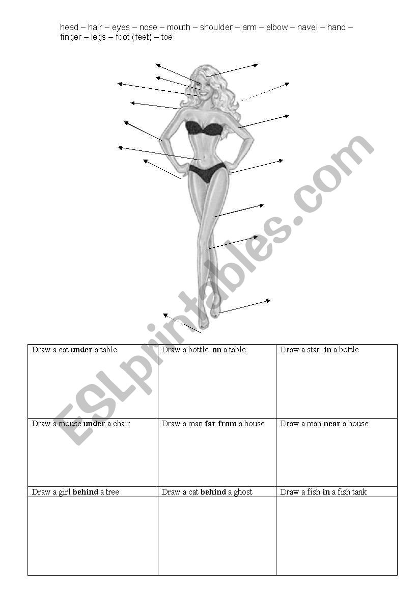 body parts and some prepostions