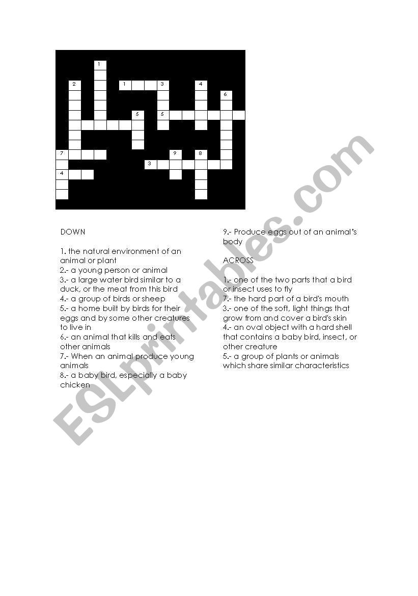 birds crossword worksheet