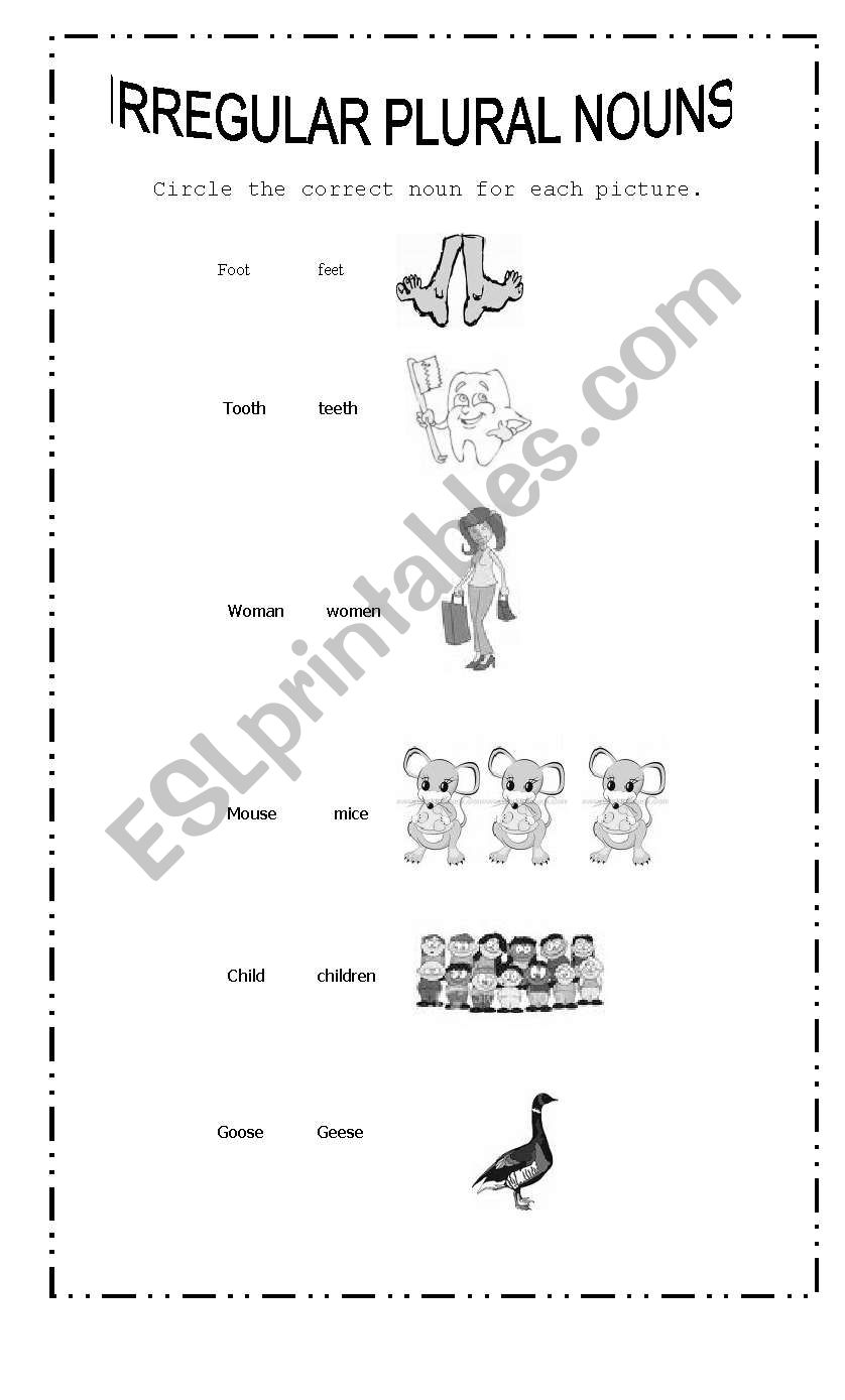 plural nouns worksheet