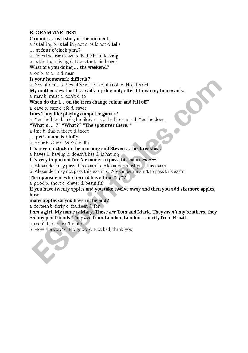 grammar test worksheet