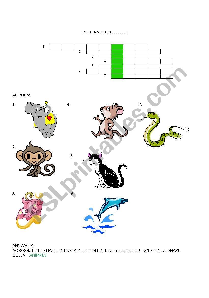 Pets and big animals worksheet